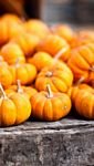pic for Cute Small Pumpkins 